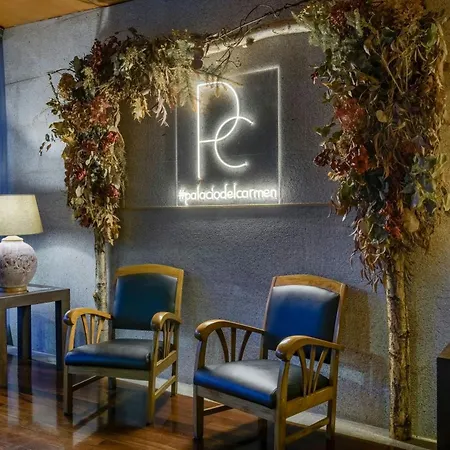 Palacio Del Carmen, Autograph Collection Otel Santiago de Compostela